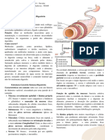 Histologia - Digestório