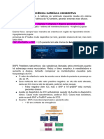 Icc PDF