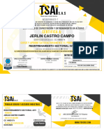 Jerlin Castro Campo