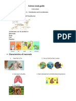 Science Study Guide Quiz 2 Quarter Third Grade 2023