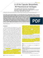 Capsule Biosynthesis From 90 PN