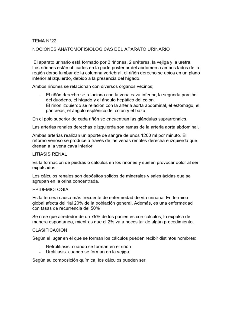 Anatomía Y Litiasis Del Aparato Urinario Pdf Riñón Sistema Urinario