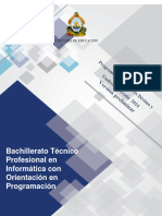 BTP Inform - Programación