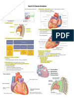 Temas 23-25 Anatomía