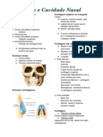 Nariz e Cavidade Nasal