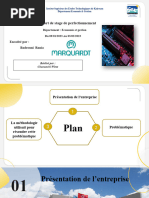 Rapport de Stage 1