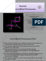 Artificialchromosome 201127052045