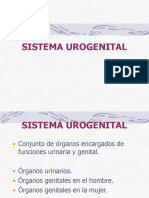 Anatomia Aparto Urogenital