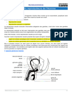 Appareils Reproducteurs de Lêtre Humain