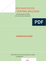 Acidos Nucleicos-Dogma Central Biologia
