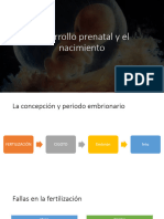 Desarrollo Prenatal y El Nacimiento