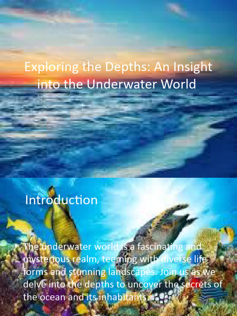 Discovering Ocean Depths and Biodiversity | PDF | Oceans | Marine Biology