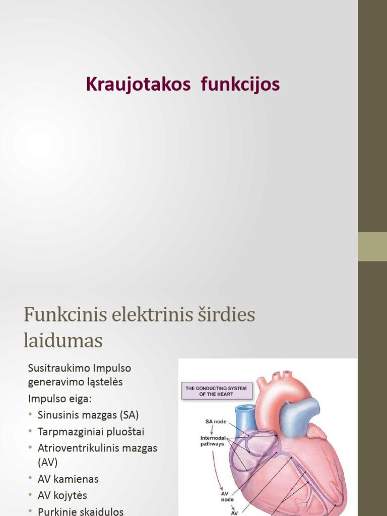 Kardio Funkcijos PASKAITA | PDF