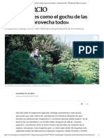 El Cannabis Es Como El Gochu de Las Plantas, Se Aprovecha Todo - El Comercio - Diario de Asturias