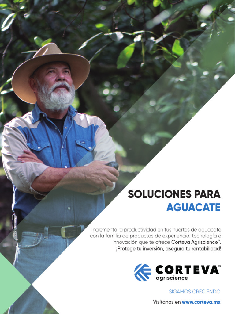 Folleto AGUACATE Toretto | PDF | Insecticida | Plaga (organismo)