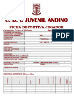 Ficha Deportiva CDC Juvenil Andino