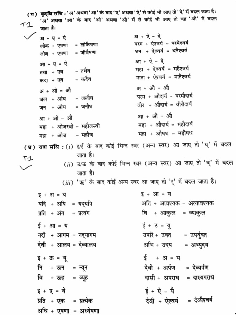 Hindi Grammer Term 1 Pdf