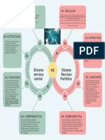 Cuadro Comparativo Sistema Nervioso