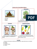 Características Comunidad Indígena2