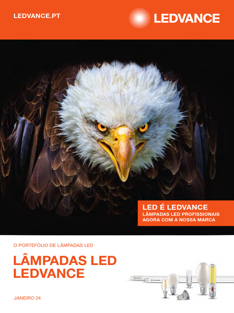 Lâmpadas LED Profissionais LEDVANCE | PDF | Iluminação pública | Diodo ...