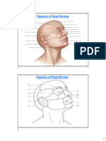 Head & Neck Anatomy