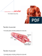 CAP 14. Tecido Muscular