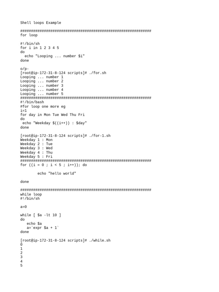 Shell Scripting Loops | PDF | Computer Programming | Software Engineering