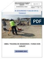 Informe Ssoma - Diciembre 2023 - Obras Civiles - Don Carlos