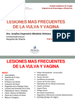 Lesiones Frecuentes de Vulva y Vagina