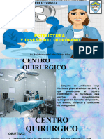 Centro Quirurgico Estructura