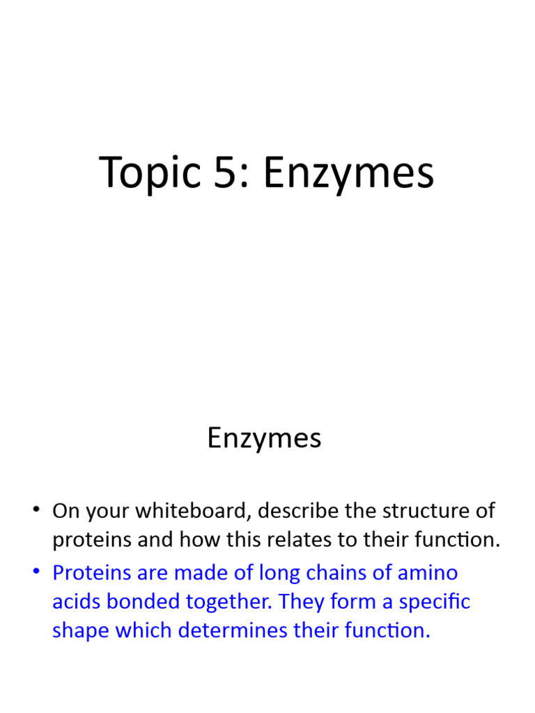IGCSE Student Revision Power Point Topic 5 - 複本 | PDF | Enzyme | Active ...