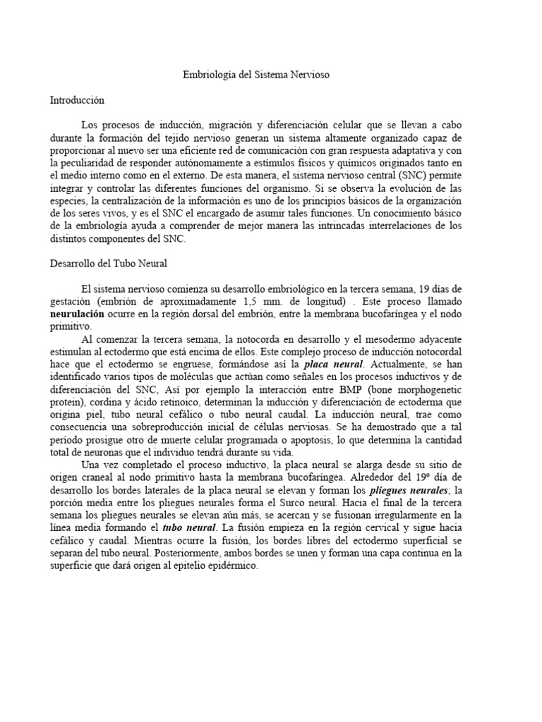 Embriologia Del Sistema Nervioso Pdf Sistema Nervioso Sistema