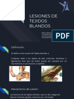 Tejidos Blandos