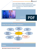 AULA Sistem Renal