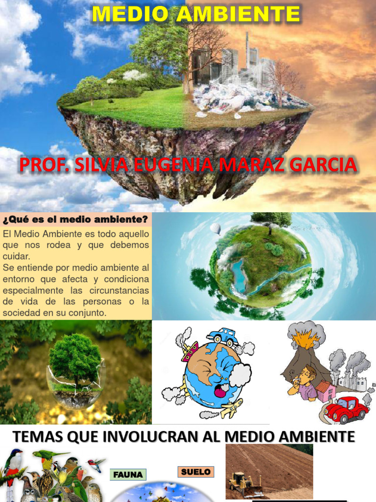 Cuidado y Protección del Medio Ambiente | PDF | Entorno natural | Residuos