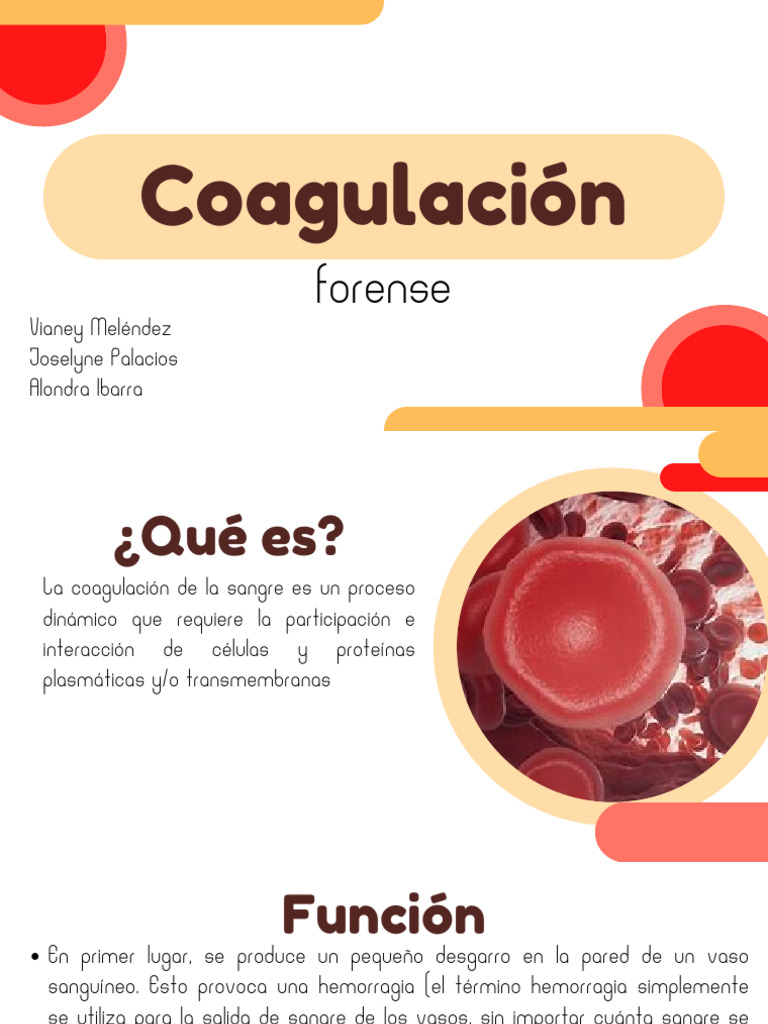 Procesos y Pruebas de Coagulación | PDF | Coagulación | Sangre