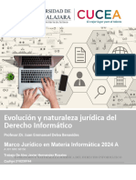 Evolución y Naturaleza Jurídica Del Derecho Informático