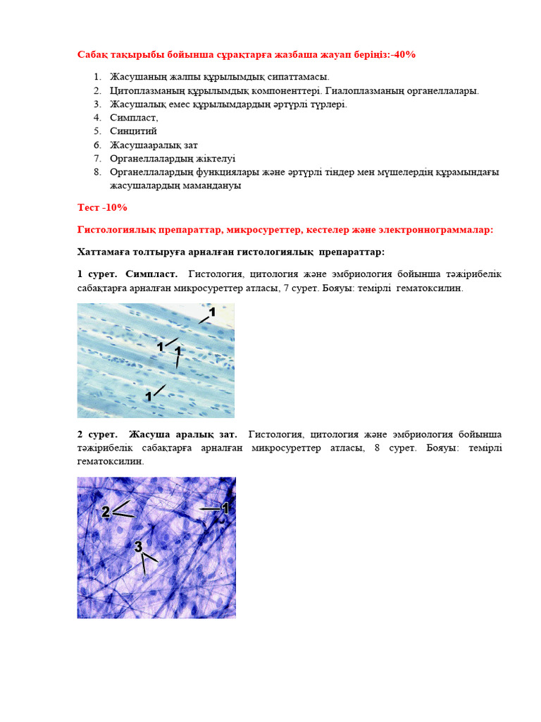 Студенттердің мұғаліммен және куннилингуспен жыныстық қатынасы бар порно онлайн көру