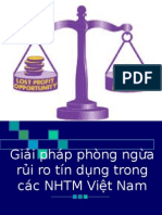 Giai Phap Phong Ngua RRTin Dung