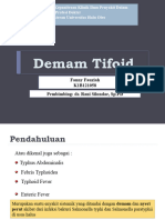 Demam Tifoid 2