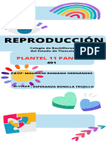 Reproducción - Bonilla Trujillo Esperanza 401 - 20240215 - 135615 - 0000-Comprimido