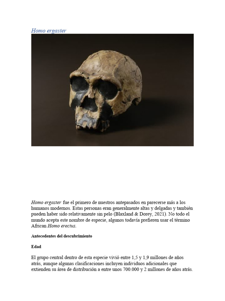 Características del Homo ergaster | PDF | Homo | Humano