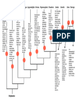 Ábol Filogenético de La Familia Delphinidae