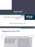 Ilmu Gizi