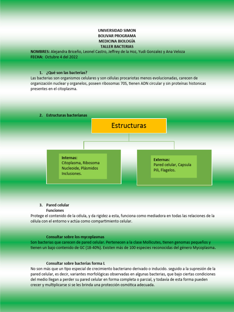 Estructura y Clasificación de Bacterias | PDF | Las bacterias ...