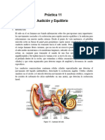 Práctica 11 F3 - Audición y Equilibrio SUSAN - Completo