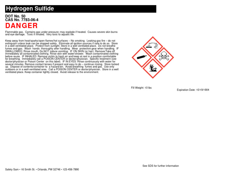 Hydrogen Sulfide Safety Guidelines | PDF