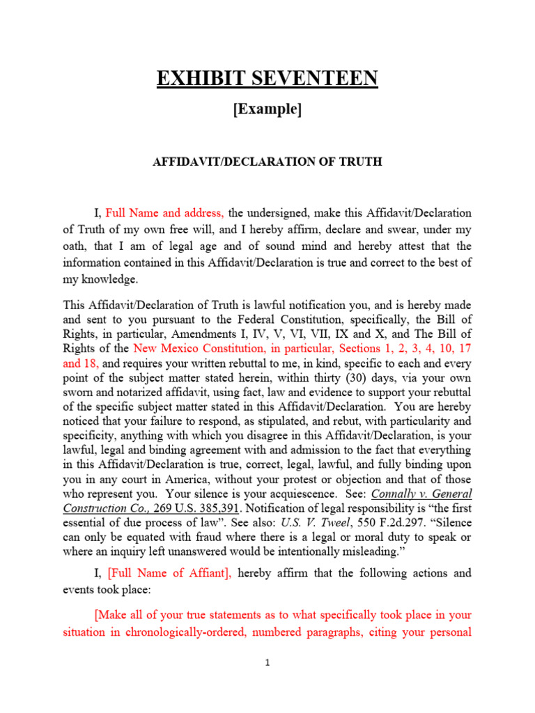 Exhibit Seventeen - Affidavit Example | PDF | Affidavit | Government
