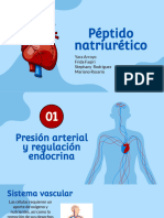 Peptido Natiuretico