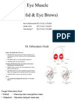 Eye Muscle (Autosaved)